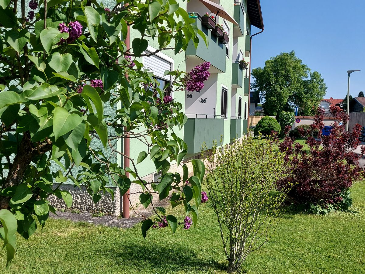 Ferienwohnung Schallinger